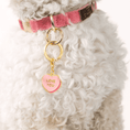 Load image into Gallery viewer, Love You Sweetheart Pet Charm