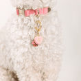 Load image into Gallery viewer, Love You Sweetheart & Cupcake Pet Charm Set