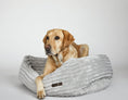 Load image into Gallery viewer, Luna Grey Napper Bed