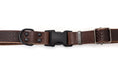 Load image into Gallery viewer, Celtic Sport Chocolate Leather Dog Collar
