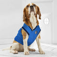 Load image into Gallery viewer, Dallas Mavericks NBA Dog Jersey - Official Basketball Pet Fan Apparel