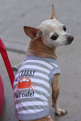Load image into Gallery viewer, Parisian Pet 'Crabby But Cute Tee' Embroidered Dog Shirt - Trendy Pet Apparel for Dogs & Cats, Gray and White Stripes