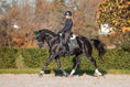 Load image into Gallery viewer, Jade Green Saddle Pad Set