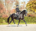 Load image into Gallery viewer, Jade Green Saddle Pad Set