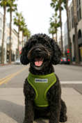 Load image into Gallery viewer, Parisian Pet 'Freedom Harness Green' for Dogs & Cats – Customizable Green Pet Harness, Soft and Durable Dog Harness for Walking