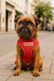 Parisian Pet 'Freedom Harness' for Dogs & Cats – Adjustable, Comfortable Red Dog Harness, Durable Design