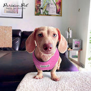 Parisian Pet 'Pink Dot Harness' for Dogs & Cats – Adjustable, Comfortable Pink Polka Dot Dog Harness, Stylish Fit for Small Pets
