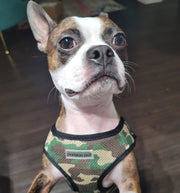 Parisian Pet 'Freedom Harness Camo' for Dogs & Cats – Customizable, Comfortable Camo Dog Harness