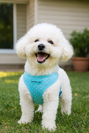 Parisian Pet 'Freedom Harness Polka Dot' for Dogs & Cats – Adjustable Blue Dog Harness, Stylish and Durable Fit