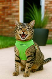Parisian Pet 'Freedom Harness' for Dogs & Cats – Comfortable and Durable Neon Green Pet Harness-Saint Patrick's Day
