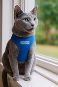 Load image into Gallery viewer, Parisian Pet 'Freedom Harness' for Dogs & Cats – Comfortable and Durable Neon Blue Pet Harness