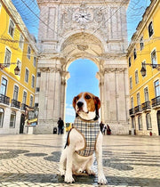 Parisian Pet 'Freedom Harness Khaki Plaid' for Dogs & Cats – Comfortable and Adjustable Dog Harness, Stylish Khaki Plaid Design