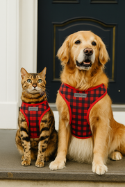 Parisian Pet 'Freedom Harness Scottish' for Dogs & Cats – Durable and Adjustable Pet Harness, Stylish Plaid Design, Red & Blue