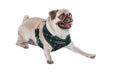 Load image into Gallery viewer, Parisian Pet 'Freedom Harness Scottish' for Dogs & Cats – Comfortable Adjustable Plaid Dog Harness, Durable Design, Green & Blue
