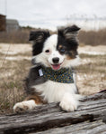 Load image into Gallery viewer, FLORAL BANDANA - Southlake Paws