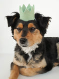Load image into Gallery viewer, NEUTRAL PARTY CROWNS