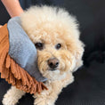 Load image into Gallery viewer, THE MAGIC MANE TAME MITT