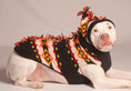 Load image into Gallery viewer, Mohawk Dog Sweater – XS