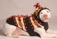 Load image into Gallery viewer, Mohawk Dog Sweater - XS