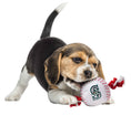 Load image into Gallery viewer, Seattle Mariners Baseball