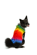 Load image into Gallery viewer, Rainbow Mohawk Dog Sweater