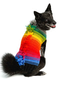 Load image into Gallery viewer, Rainbow Mohawk Dog Sweater