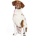 Load image into Gallery viewer, Rose Bud Dog Sweater