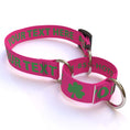 Load image into Gallery viewer, Personalized Solid Colored Martingale Collar