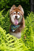 Load image into Gallery viewer, Magical Fern Forest Dog Bandana & Matching Keychain - Southlake Paws