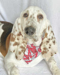 Load image into Gallery viewer, Main Lobster Dog Bandana