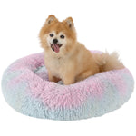 Calming Dog Bed for Large, Medium and Small Pets Colorful