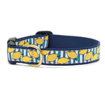 Make Lemonade Dog Collar