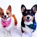 Load image into Gallery viewer, Asanoha Cooling Bandana - Southlake Paws