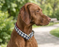Load image into Gallery viewer, Bowsers Designer Slip Dog Collar in durango-caramel