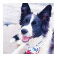 Load image into Gallery viewer, Marlowe Dog Bandana