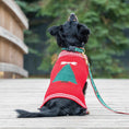 Load image into Gallery viewer, Up Country Merry Christmas Cast Brass Dog Collar