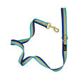 Load image into Gallery viewer, Milo Dog Leash