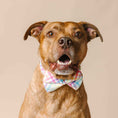 Load image into Gallery viewer, Minka Dog Bow Tie