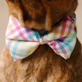 Load image into Gallery viewer, Minka Dog Bow Tie