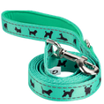 Load image into Gallery viewer, EcoBark Mint Turquoise Dog Leash - Comfort Grip Padded Leash - 4ft, 5ft, and 6ft Dog Leash for Small and Medium Dogs