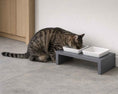 Load image into Gallery viewer, Bowsers Moderno Double Wood Dog Bowl Feeder in grey