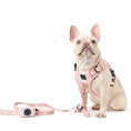 Load image into Gallery viewer, DOGISTRY The NoMad Adjustable Luxe Harness - Sweetheart