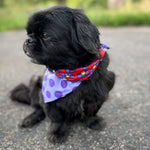 Sport Bandana - Purple Dots/Daisies