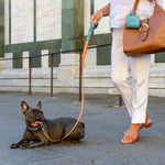 Blue nubuck leather dog waste bag holder