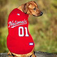 Load image into Gallery viewer, MLB Washington Nationals Mesh Dog Jersey