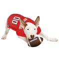 Load image into Gallery viewer, Nebraska Huskers College Dog Jersey - Official College Sports Pet Fan Apparel