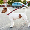 Load image into Gallery viewer, New Jersey Devils Satin Leash