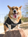 Load image into Gallery viewer, NFL New Orleans Saints Mesh Dog Jersey