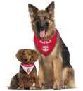 Load image into Gallery viewer, New York Red Bulls Reversible Pet Bandana