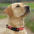 Load image into Gallery viewer, New York Red Bulls Satin Collar